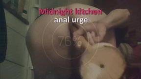 Midnight kitchen anal urge