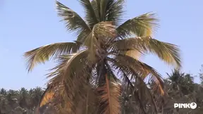 Black Angelika's tanned body tempted by tropical anal