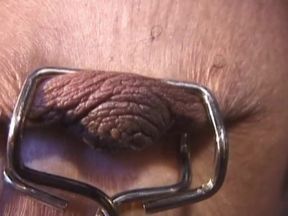 Hot girl gets tiny tits pinned while still gagged