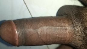 Fun of Pussy Fucking