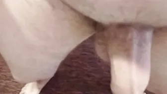 Cute twink with big cock and balls masturbating solo