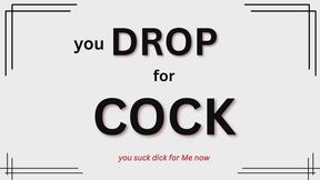 You Drop for Cock (audio only mp4)
