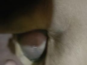 New xvideo