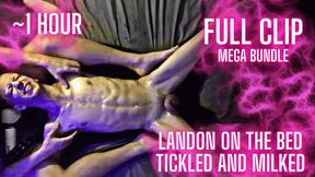 Landon Spread-Eagle and Tickled (FULL MEGA-BUNDLE)