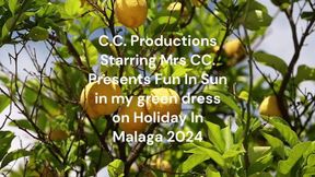 Wet Dress Sex On Holiday