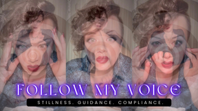 Guided Obedience - Voice Control Experience