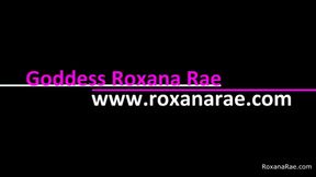 November Tiny Dick Tax 2022