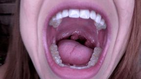Maria Jade: Spitty Slutty Mouth Tour - MP4 sd