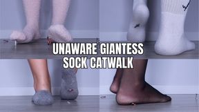 Unaware giantess sock catwalk - OnlyVanessa