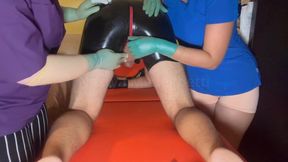 COW PROSTATE MILKING with 2 GLOVED NURSES : the patient is ON ALL FOURS