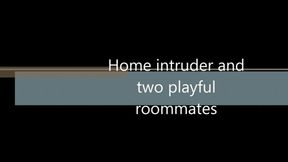 House invader and two playful roommates WMV