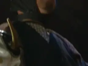 Ninja