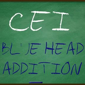 CEI for Really Gay Sissy