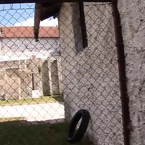 Tied German whore eats cum after hot outdoor BDSM action