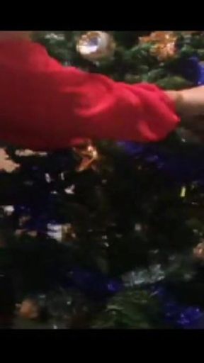 Mother Christmas Assembles Her Christmas Tree 2025