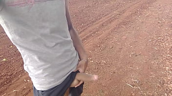 Caminhando com tes&atilde_o