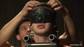 9 Inch Cock Edged in Metal Bondage