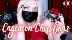 Caged on Christmas - 4K