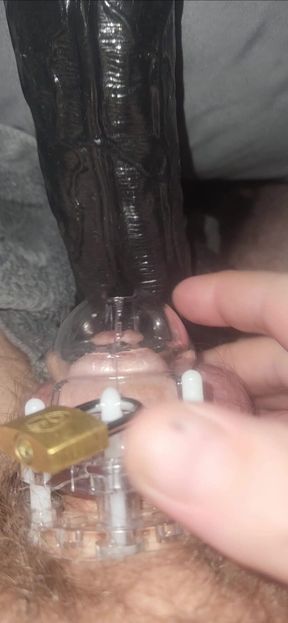 Stroking my GF&#039;s big dildo w my tiny cock caged