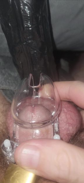 Stroking my GF's big dildo w my tiny cock caged