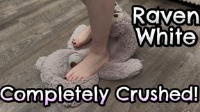 Stomping, Jumping, and Crushing Teddy Bear by Raven White