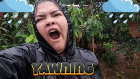 Yawning in the rain - It's about to get us wet