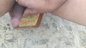 I am going to the terrace of my house, taking out my penis and masturbating in a tree to ejaculate.