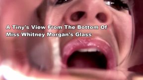 A Tiny’s View From The Bottom Of Miss Whitney Morgan’s Glass