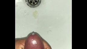 IMG 0040