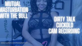 Mutual Masturbation with the bull Dirty Talk Cam recoding