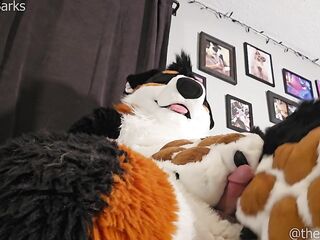 @AngryBarks plays with his step sister's paws, licks his load off 'em #PawFetish #FootJob #jizz flow