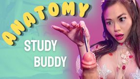 Anatomy Study Buddy: ThePrincessLuxy turns a quiet library cram session into a captured fantasy that ends with you laid out on my bed