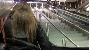 Jaqueta de Nylon da Universit&aacute_ria Pt 1