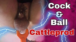 Training Zero Cattle Prod to Balls! Femdom Slave Bondage BDSM Punishment Anal Electric Play Real Homemade Milf Stepmom FLR
