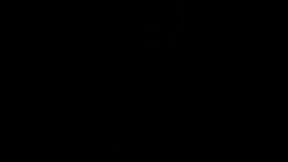 VID 20150811 233152