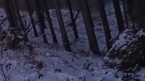 Nude Nature in Winter
