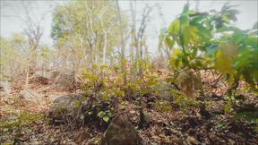 I enjoyed taking my boyfriend to the jungle and fucking him.