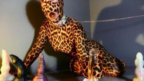 Feral