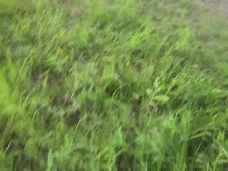 I approached this lonely angel and started wanking my knob next to her. That babe sat silently watched and touch my shlong when i cum