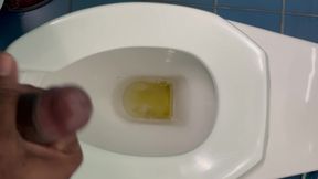 Jerking off in the Office Washroom