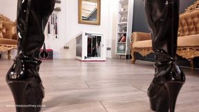 Puppy Training Part 2 (1080p HD WMV)