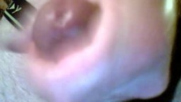 Close Up Cock