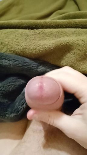 In the morning my stepmother played with my big dick but didn&#039;t let me finish #2