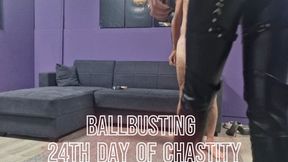 Mistress Magda - ballbusting 24th day of chastity