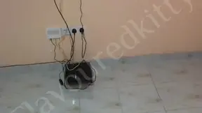 Beauty takes BBC fully throat and gives the best BJ during gaming