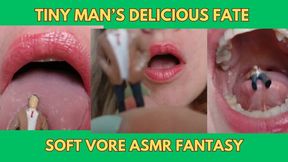 Tiny Man Soft Vore ASMR Fantasy