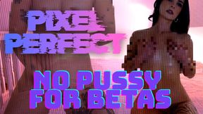PIXEL PERFECT PORN for beta hand-humpers