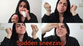 Sudden sneezing !