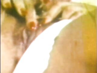 Vanessa and Her Hawt Shlong