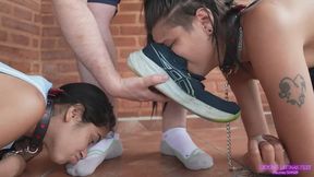 MARK - Two devoted bitches at the feet of their Master!